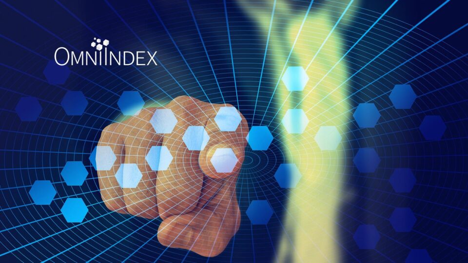 OmniIndex launches Google BigQuery APIs